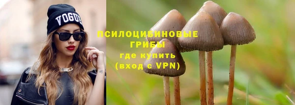 прущая мука Верея