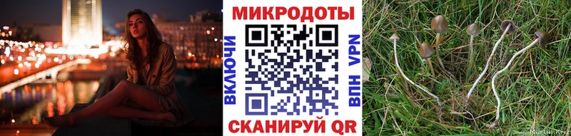 Псилоцибиновые грибы мицелий  мориарти наркотические препараты  Находка 